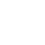 thin-0154_ok_successful_check